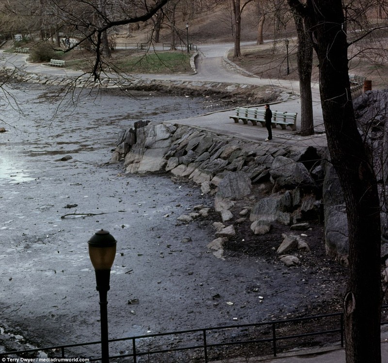 Chum anh thanh pho New York hoa le thap nien 1970-Hinh-12